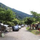 Najost Camp 이미지