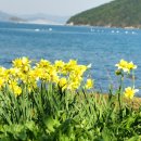 비밀의화원 이미지