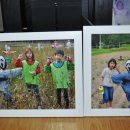 둥이네 농장 이미지