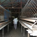 윤승호농장 이미지