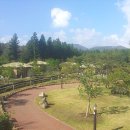 붉은오름자연휴양림1 이미지