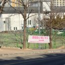 르노삼성자동차 서비스코너 우산점 | W3. 대구 웨딩홀 투어. 라테라스웨딩(라끄블랑홀, 라폰타나홀) 솔직후기, 견적