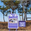 신안프라자 이미지