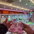 넘버원 오락실 | [대전] 송촌동 먹자골목 숯불구이 전문점 '왕십리고깃집' 무한리필&amp;일등급돌판한우 방문후기