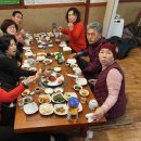 제주 기사투어