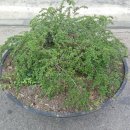 사1동주민센터 이미지