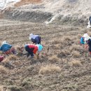 친절 태양광발전소 이미지