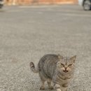 신은하반점 이미지