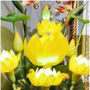 미라4길 이미지