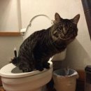 대전항외과의원 이미지