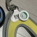 멍뭉펫 | 강아지산책 필수템 다이소꿀템 추천 l 헬로마이펫 멍뭉 산책가는 길 해충방지클립 후기