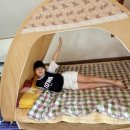 핀란드 작은마을 이미지