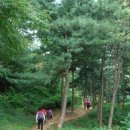 수색-017 이미지