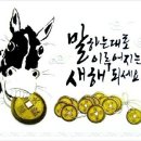 온새미로캠프 Daum카페