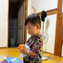 양주 삼상리마켓 / 18개월 아기와 온가족 당일치기 한옥 촌캉스