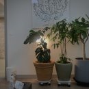 로뎀정신건강의학과의원 이미지