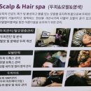 크린브레인 이미지