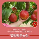 입석리농장 이미지