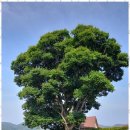 오렌지 민박 이미지