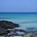 제주소호네 | W4-1. 제주 웨딩 스냅 비교 &amp; 계약 후기 | 소호하우스