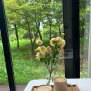 진주-평거-비상-21 | 경남 진주 평거동 카페 추천. 그로운 업. 내돈내산. 솔직후기. 아버지와 커피 한 잔. 진주 평거동 유적.