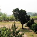 구)대산초등학교 이미지