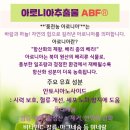 현대메디칼약국 이미지