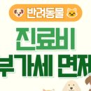 맘스동물의료센터 이미지