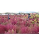 양지말공원 이미지