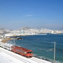 신영주번개시장 이미지