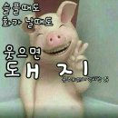 앗싸 이미지