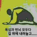 금 강  1 이미지