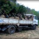 지천농장 이미지