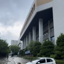 파리바게뜨 부산광역시 부산진구 가야동의대점 | [ 피자먹다 동의대점 ] 부산 개금 맛집 동의대 맛집 1인피자 가성비 최고 맛집