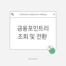 포인트리 티스토리