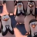 대림모터스 이미지