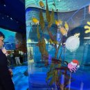 우림미디어 | 아기랑 서울아쿠아리움 코엑스 씨라이프 잠실 비교 후기 수유실정보