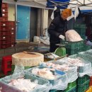 사구보세 이미지