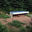 양평캐슬빌 이미지