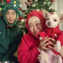 홍윤화 카카오 검색결과
