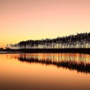 충남 서해바다로 가자! 이미지