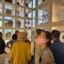 파주엔젤주야간보호센터 | 파주치매돌봄 365해바라기 주야간보호센터 체험 후기