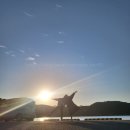 1박2일 아래 | &#39;여행특공대&#39; 대마도 1박2일 패키지여행 내돈내산 꿀팁 후기