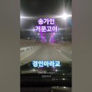 한수영♡사랑이비를맞아요, 계양산산책 #여행 #트롯 #travel #automobile 이미지