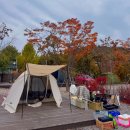 석화농원 | 171 관광농원 - 합석 가능한 가평 캠핑장, 주말 캠핑 후기 - C2, C3 사이트