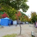 별다리 캠핑 이미지