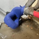 보수상회 네이버블로그