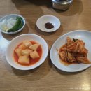 전통45년설렁탕 | 암사역 맛집 40년전통설렁탕, 설렁탕 일반/특사이즈 후기