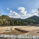 하늘수산 - 동구 운교로 10 | 하늘수산