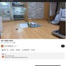 티모자전거 | 종강한 파닥몬의 일상